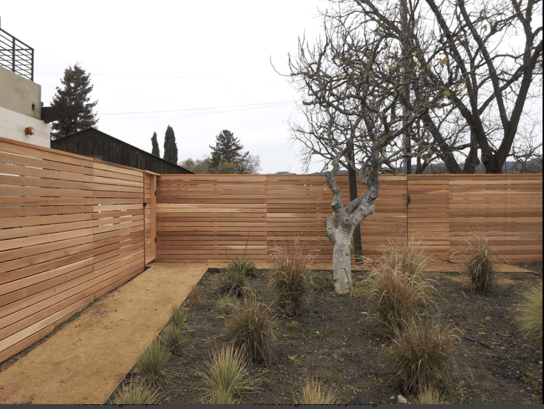 Wooden fence with tree and plants.